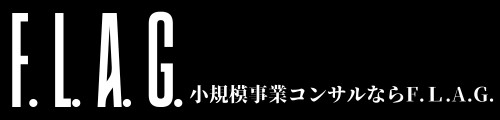 F.L.A.G. Consalting System